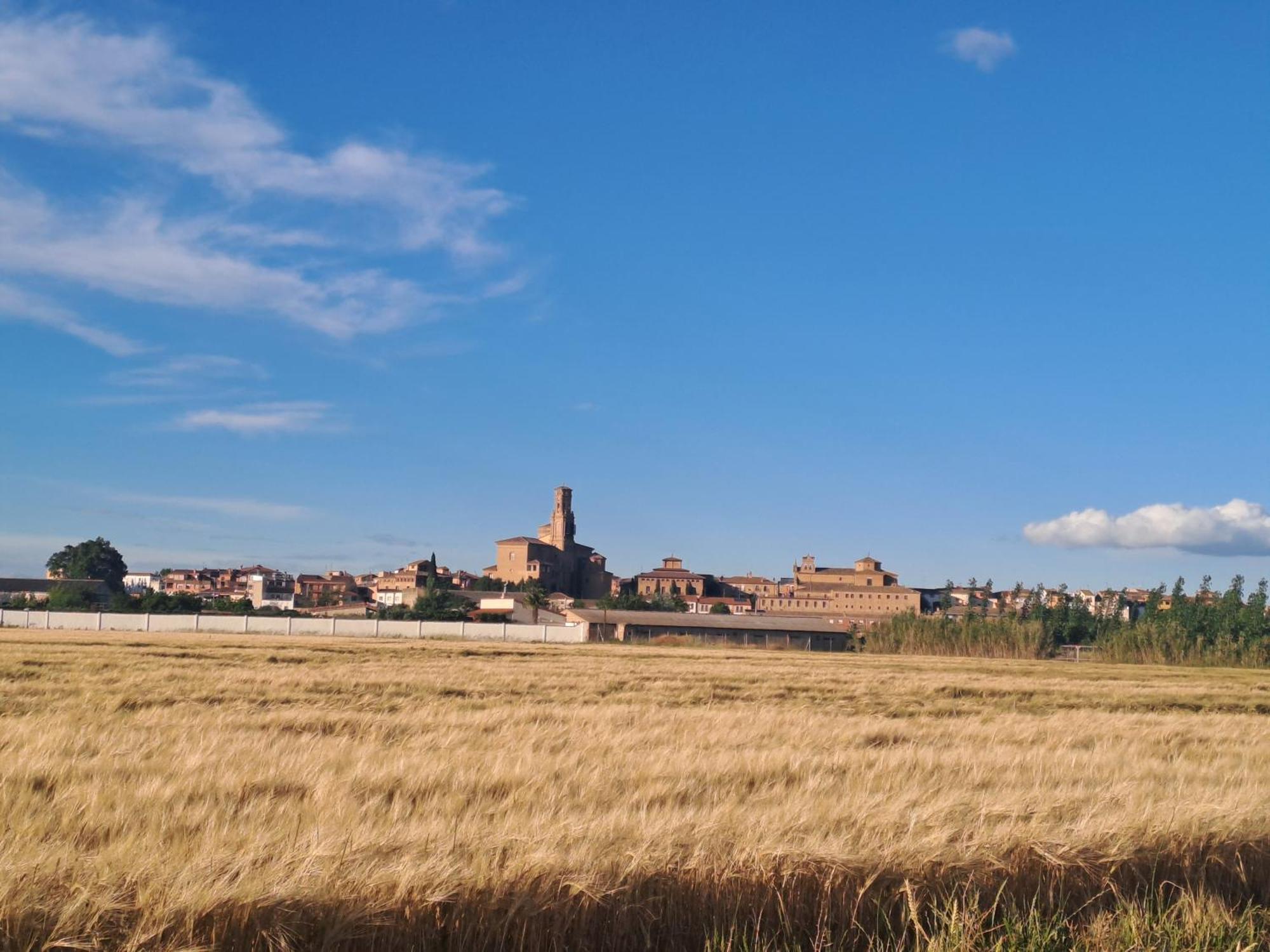 Apartamento Rural Las Canas Esencia De Bardenas Villafranca Екстериор снимка