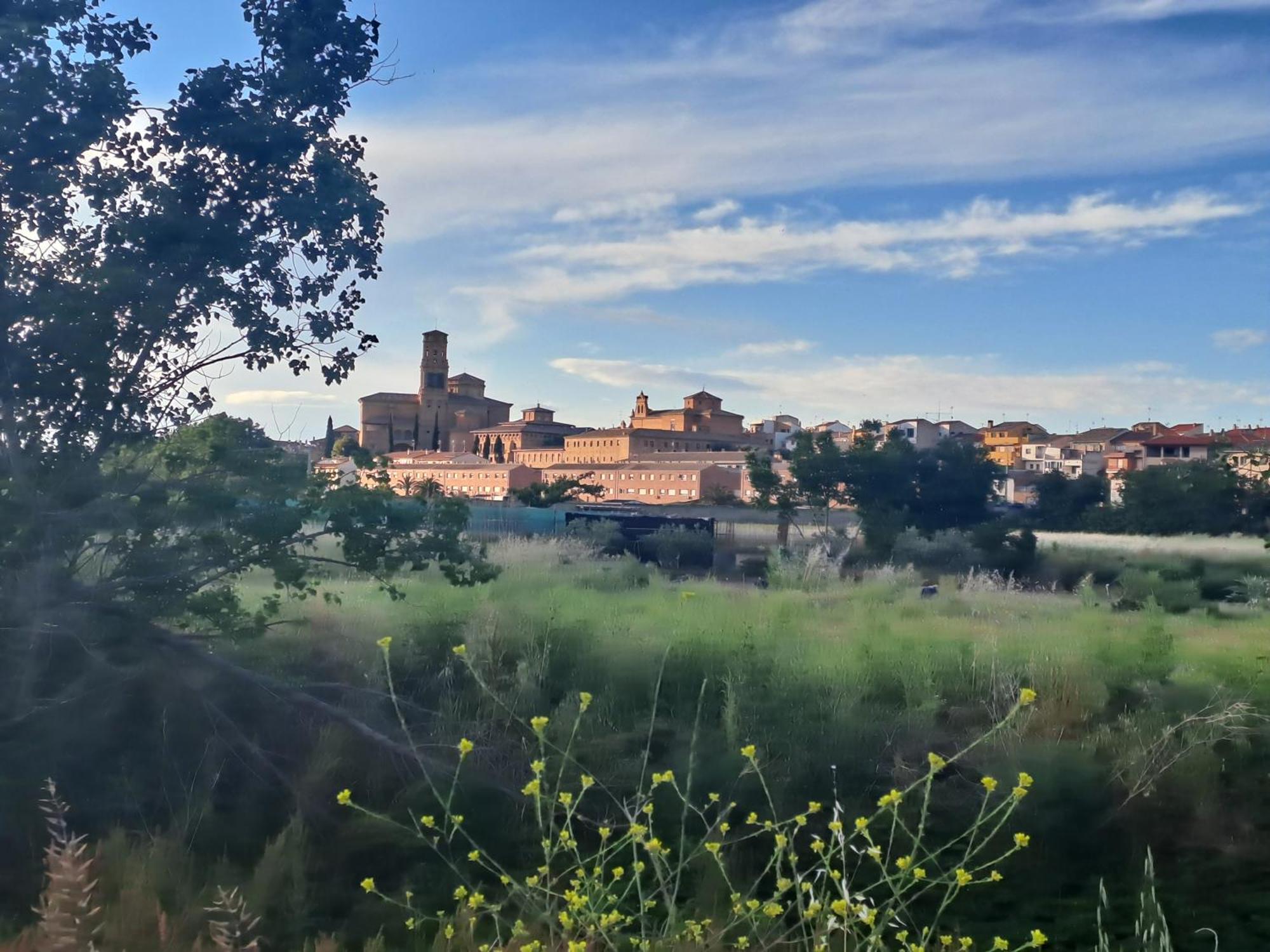 Apartamento Rural Las Canas Esencia De Bardenas Villafranca Екстериор снимка
